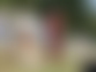 Especial Collie Bélgica