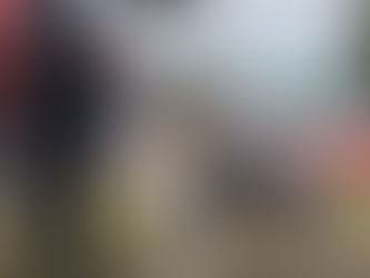 Monografica Collie Club