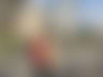 IDS Mónaco // Especial Collie Toscana