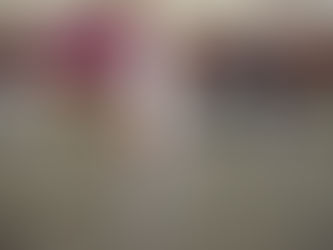 Especial Pastores Británicos Luxemburgo