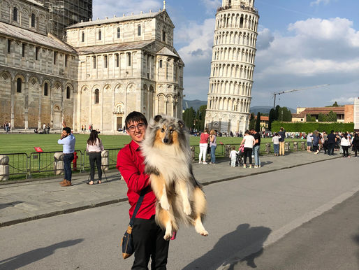 IDS Mónaco // Especial Collie Toscana