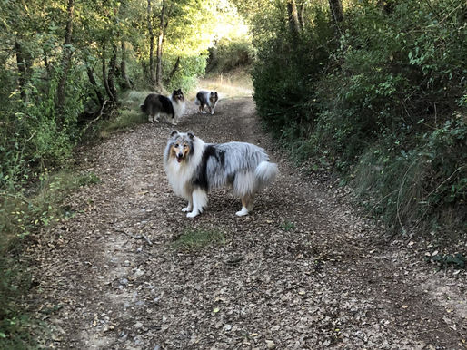 Fin de Semana en el Pueblo