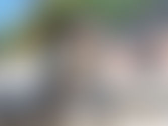 Los 6 imprescindibles para la llegada del cachorro