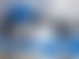 Todo lo que Necesitas Saber sobre el Cuidado del Pelaje del Border Collie