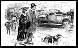 El Origen del Rough Collie