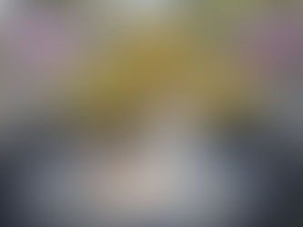 Receta de pastel de cumpleaños para perro