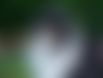 Consejos para la época de muda