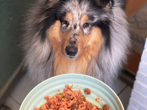 La rutina de Alimentación