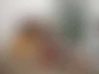 La navidad para perros