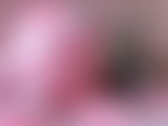 Los mejores juguetes para el cachorro de Collie