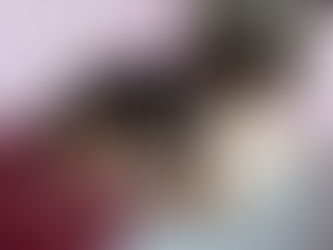 Nacimiento camada Sissí x Paco