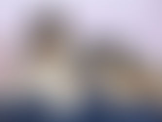 Nacimiento camada Bibi x Olaf